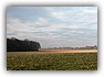 leuvens veld en bertembos